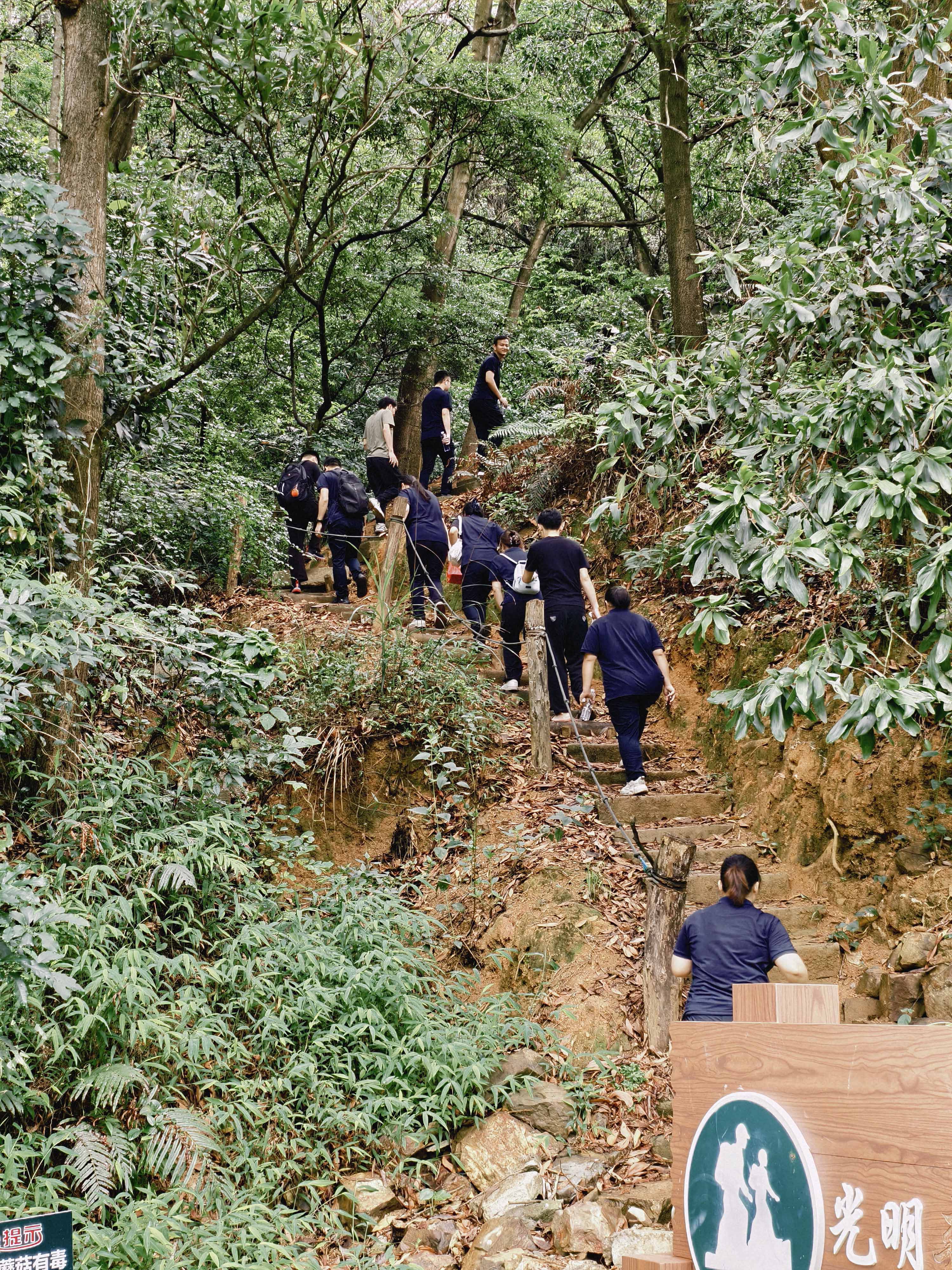 米兰体育公司员工齐聚光明区蠄蜍石，开启活力爬山之旅暨团建活动(图2)